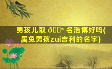 男孩儿取 💮 名浩博好吗(属兔男孩zui
吉利的名字)